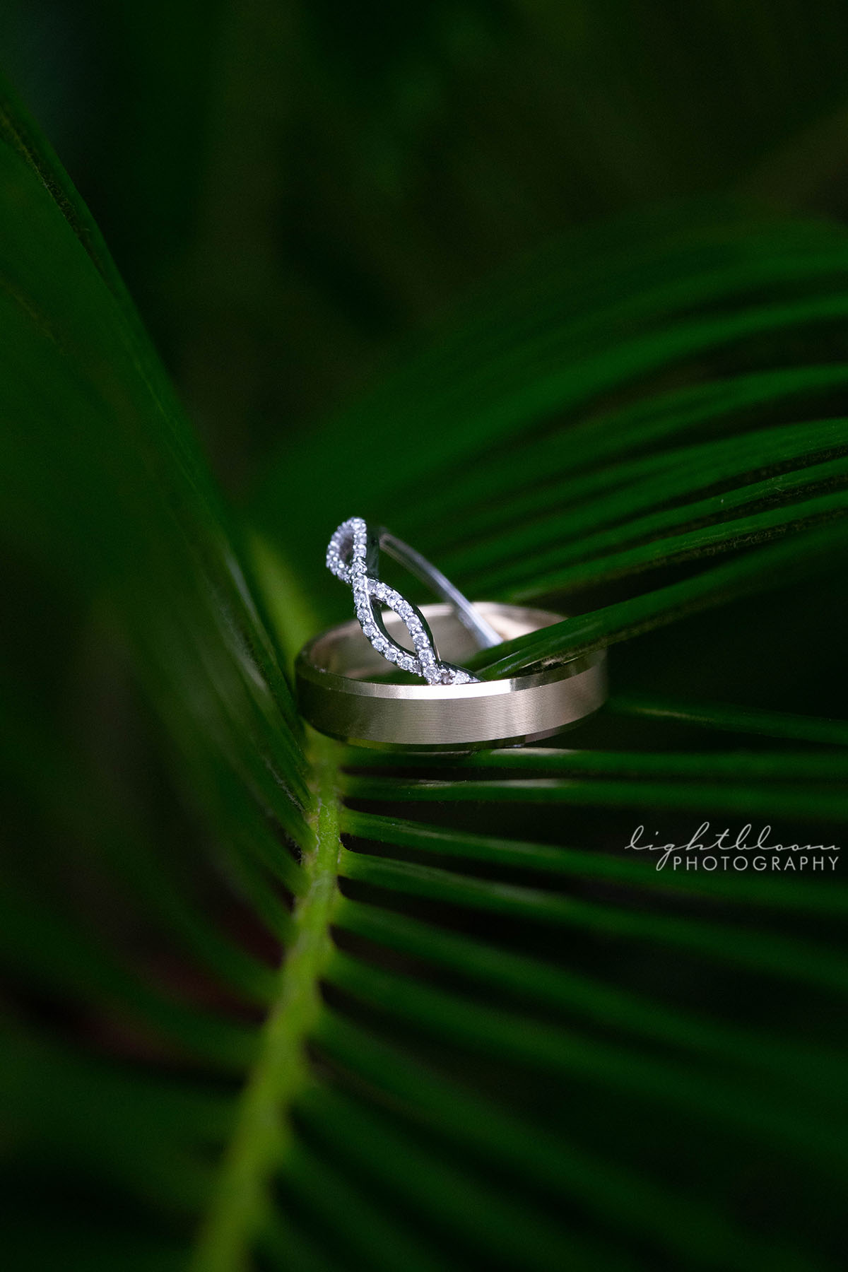 Magnolia Plantation Charleston SC Wedding Photographer