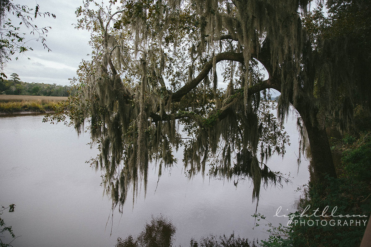 Magnolia Plantation Charleston SC Wedding Photographer