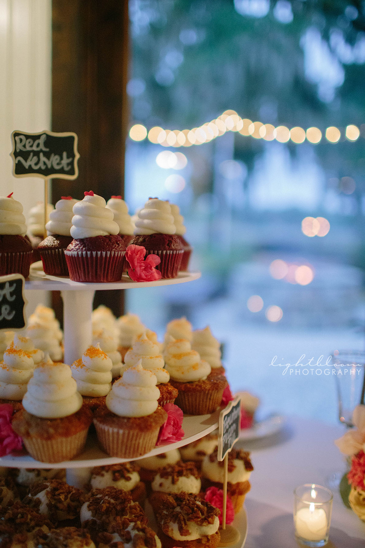Magnolia Plantation Charleston SC Wedding Photographer