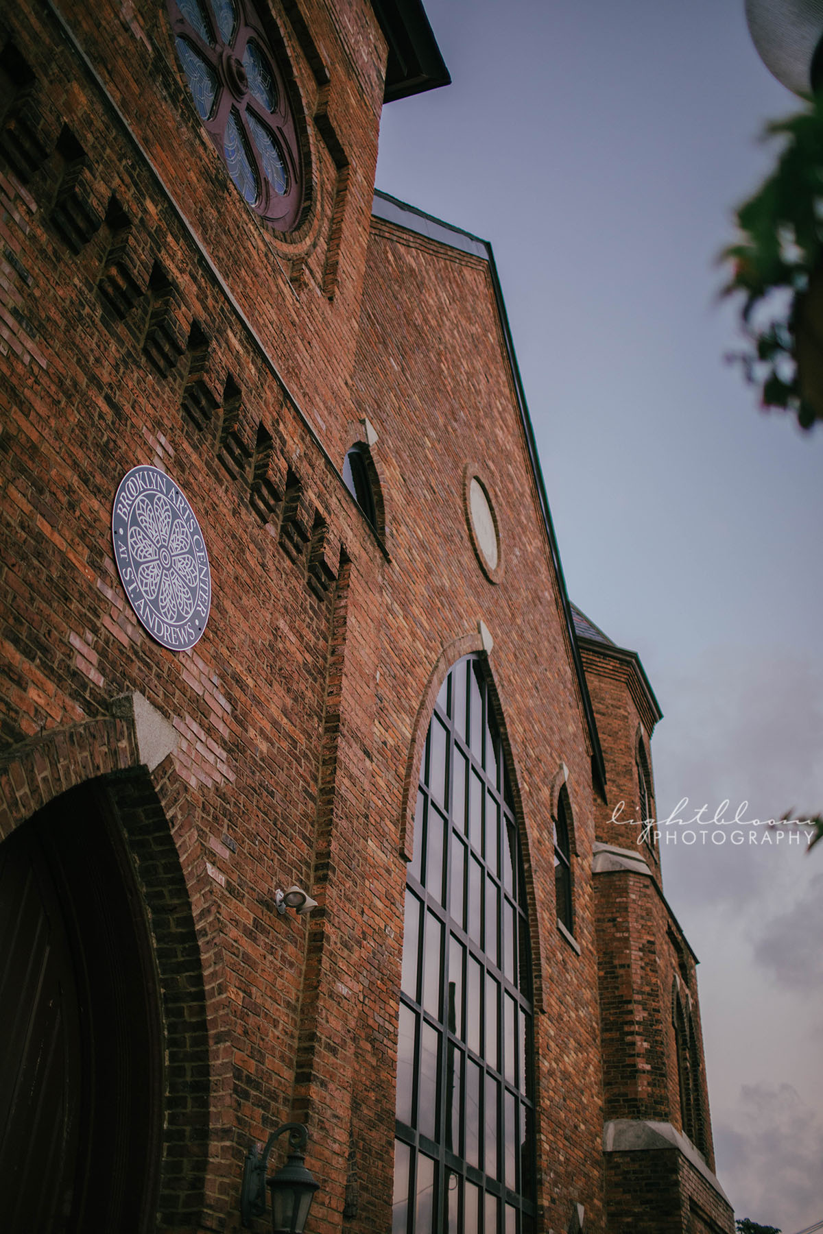 Brooklyn Arts Center Wedding Photography