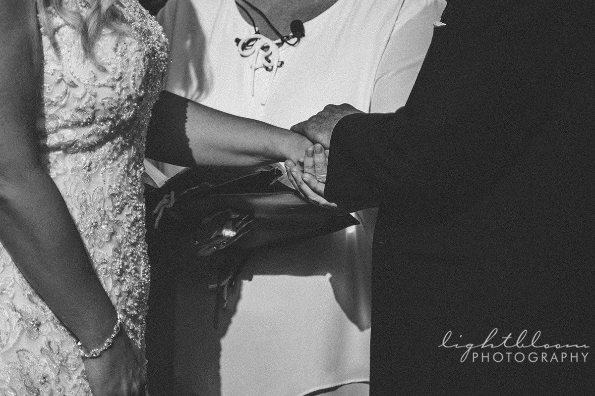 Brooklyn Arts Center Wedding Photography