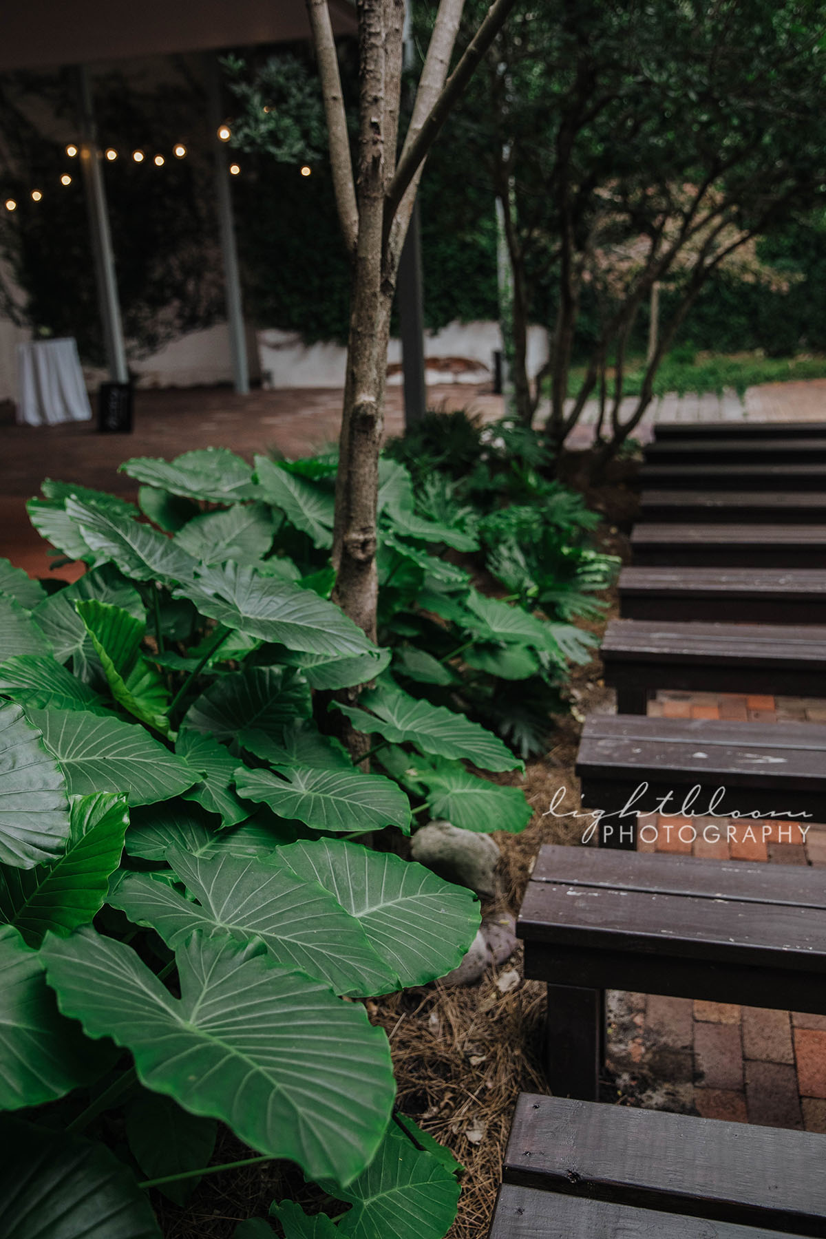 The Atrium Downtown Wilmington Wedding Photographer
