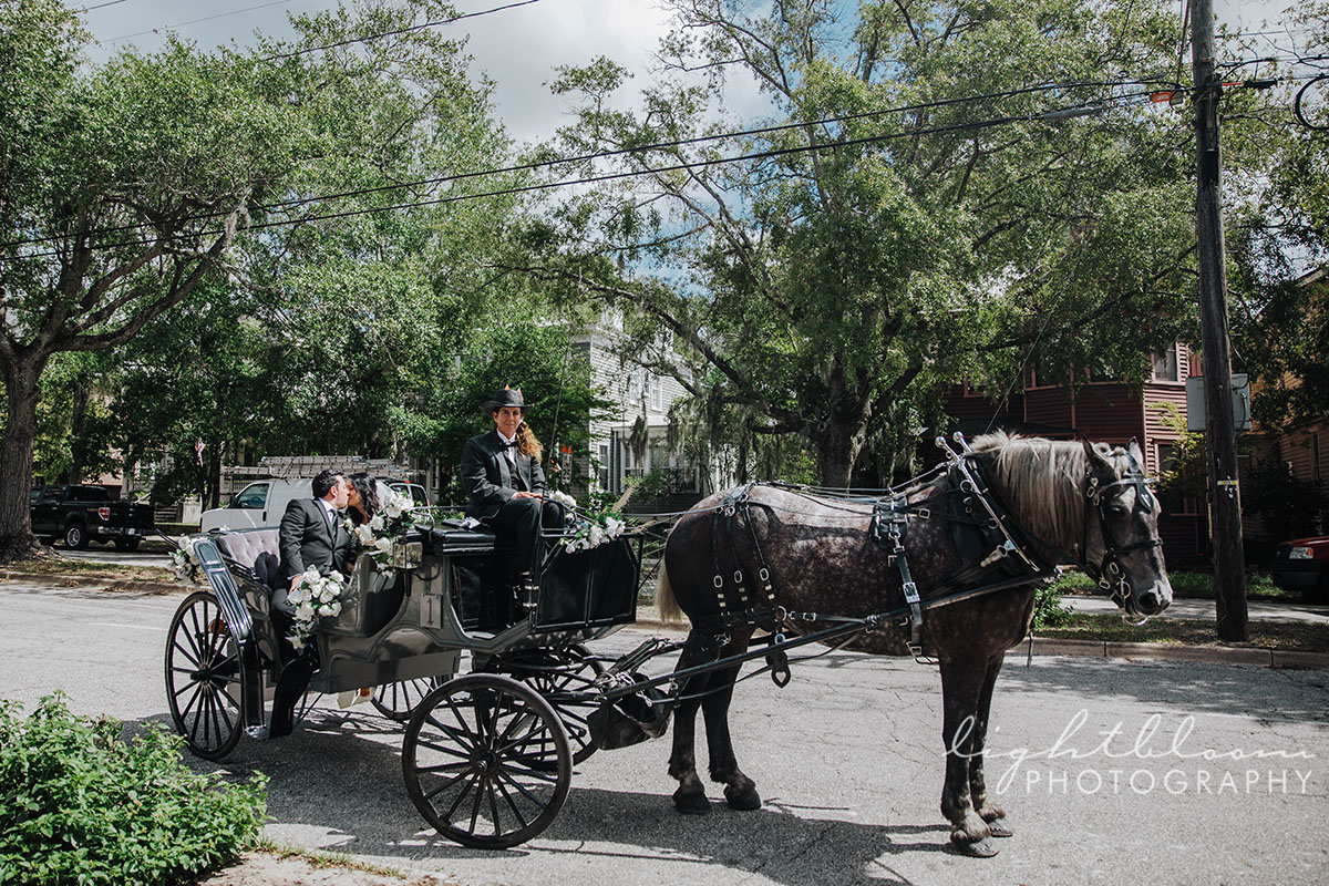 Bluewater Grill Airlie Gardens Wedding Photographer