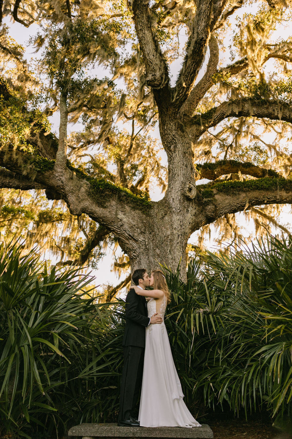 Airlie Gardens Wedding Photographers053